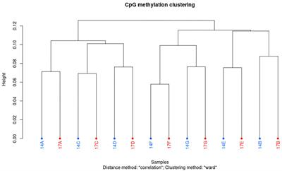 Sperm DNA Hypomethylation Proximal to Reproduction Pathway Genes in Maturing Elite Norwegian Red Bulls